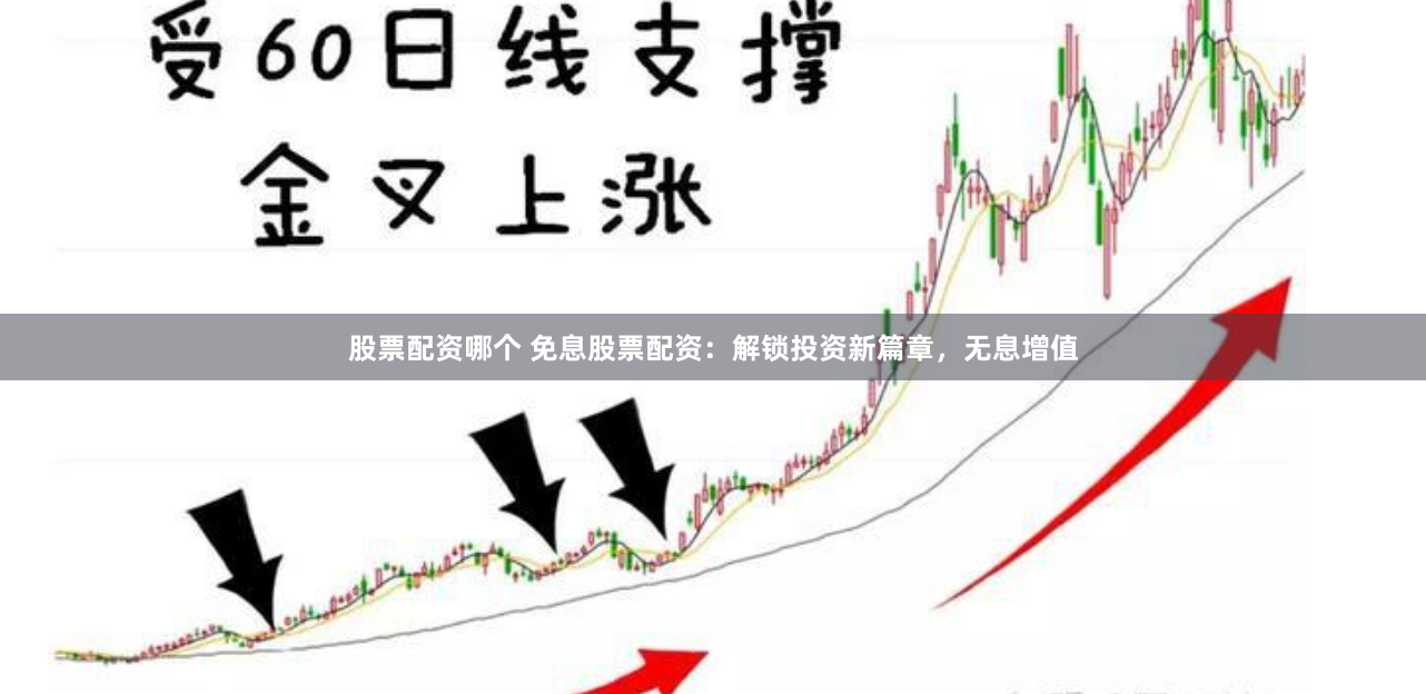 股票配资哪个 免息股票配资：解锁投资新篇章，无息增值